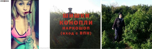 шишки Усмань