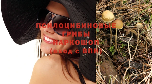 молекула духа Усинск