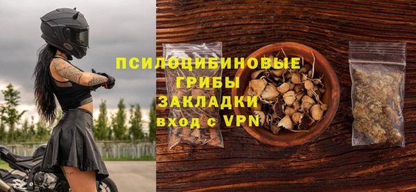 шишки Усмань
