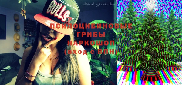 шишки Усмань