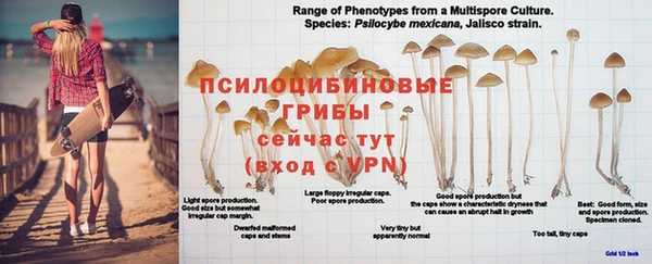 молекула духа Усинск