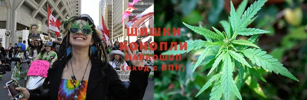 молекула духа Усинск