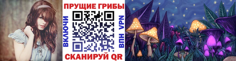Галлюциногенные грибы Magic Shrooms  Купить где  Гагарин 